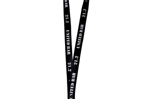 Lanyard